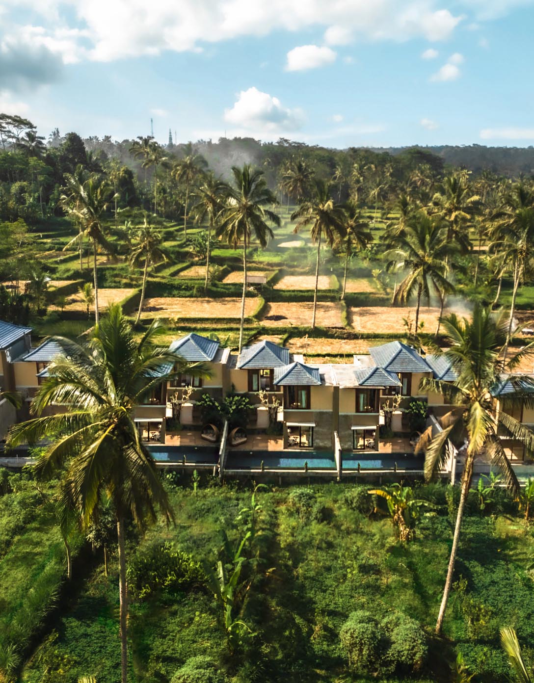 top best resort in ubud nature