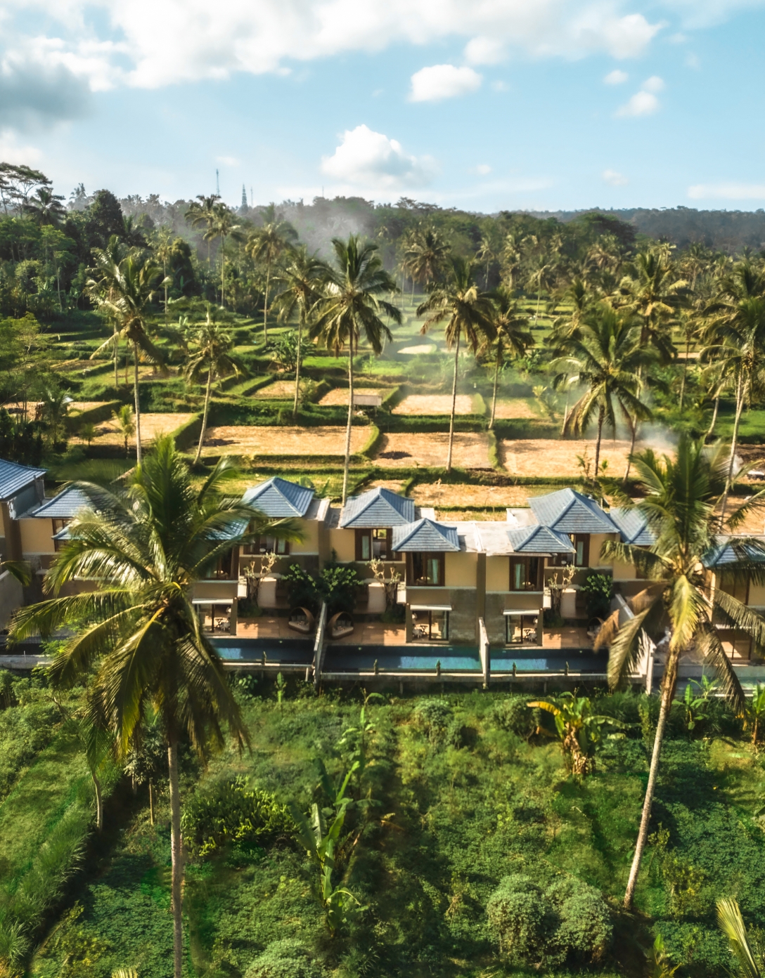 top best resort in ubud nature