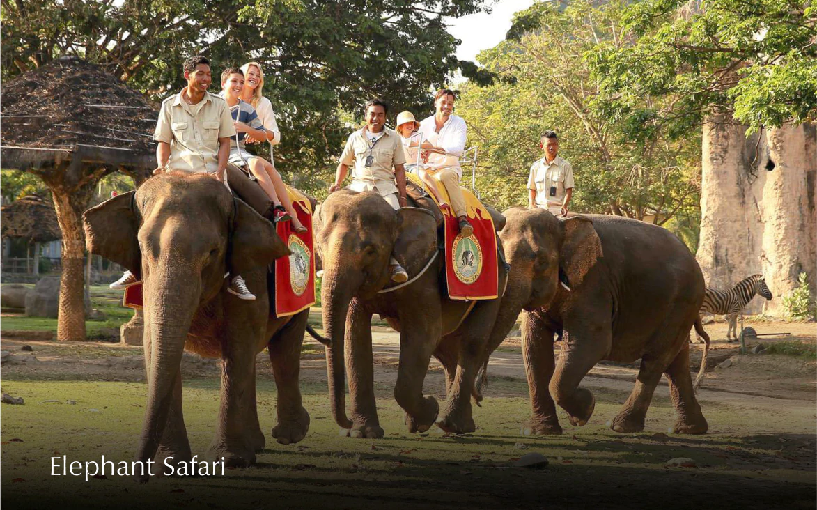 elephant safari